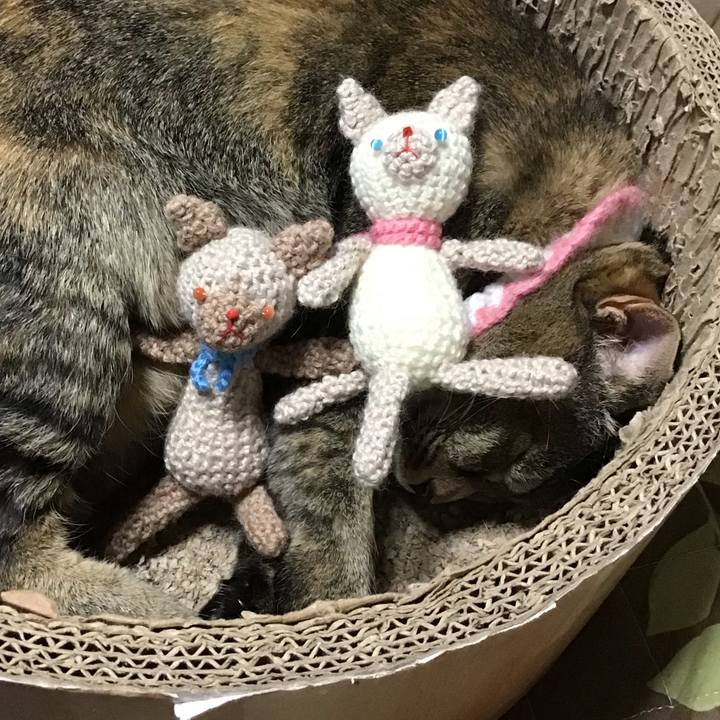 Aac3a95b a1bf 48bc 9165 b042bfcc470b 1744522237121