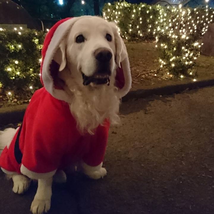 Aac3c005 6713 4aad a1ed 26ae8f3721db 1544179981138