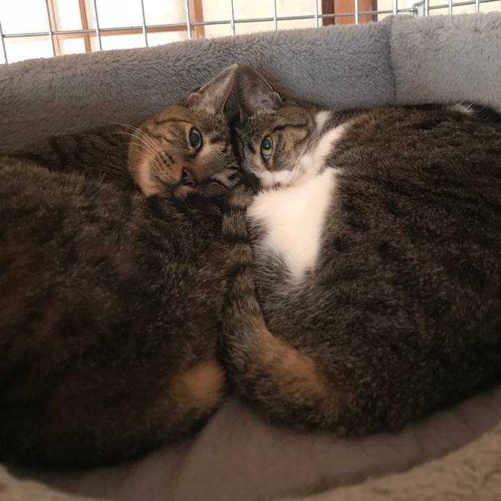 Aac407a0 73a5 45bf 9cb2 94038891395c 1530754803621