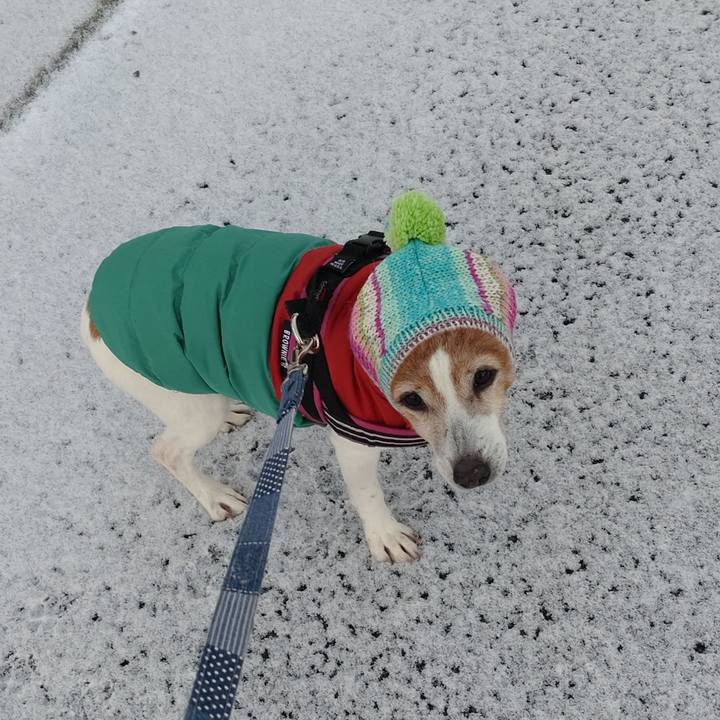 Aac443f1 a891 4b2f b140 af816f2e0a83 1769036412512