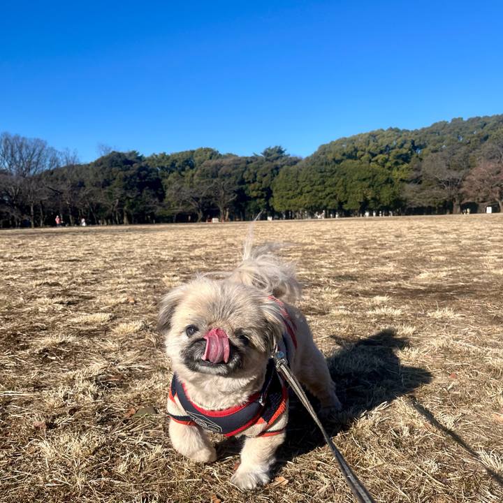 Aac4595e e9d5 4d2b aea7 a837c4759bcd 1738629287742