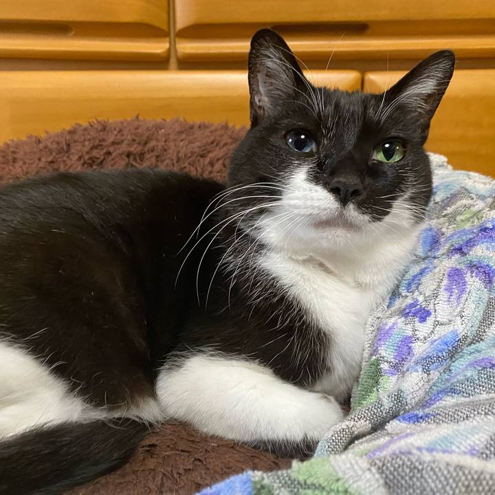 Aac46905 7634 4b81 bd72 122ce9a75431 1619633167082