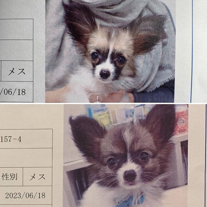 Aac4a45c 6381 4d54 ab4b 95926866d56c 1697323784624