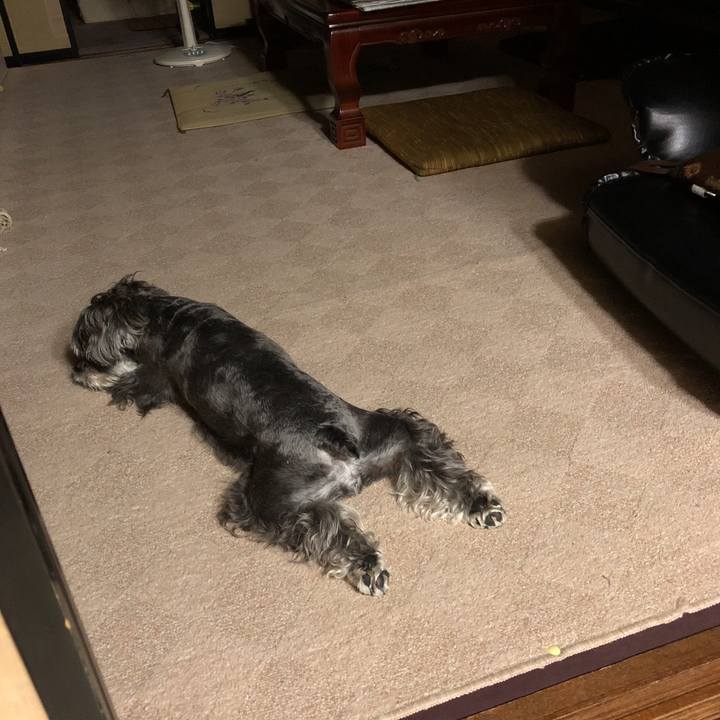 Aac4a701 70b8 4b2c 9878 1a365ee8d2c1 1536922023070