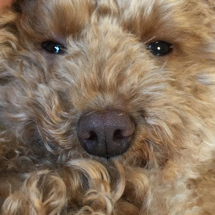 Aac4d6df 1fd8 4b47 90c9 11d34f88d9c4 1523435695165