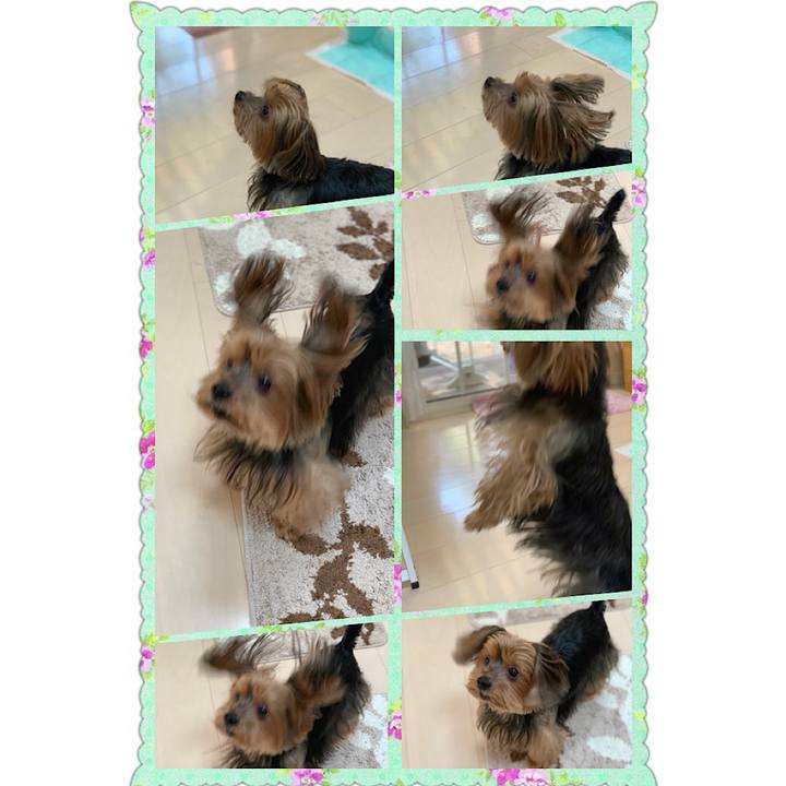 Aac4fd9f 618e 4630 b04e 858c371ba566 1566087173229