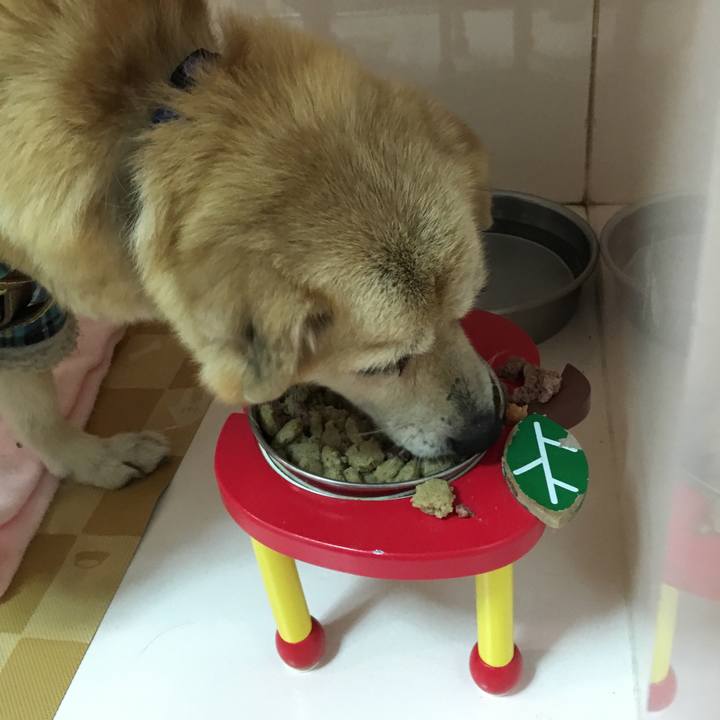 Aac53ad4 89fc 4ce0 ae9a 75df8e0cd1cd 1519304484062