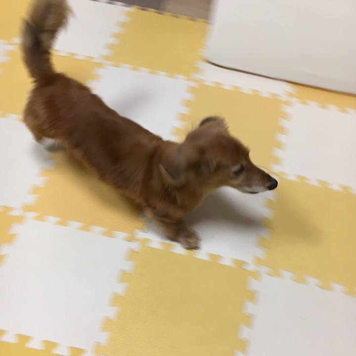 Aac566aa c785 43b5 9aa0 7b0c916839ea 1624887602331