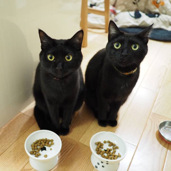 Aac5844b 1041 4c5c 90b7 70160e3d9c95 1550808504966