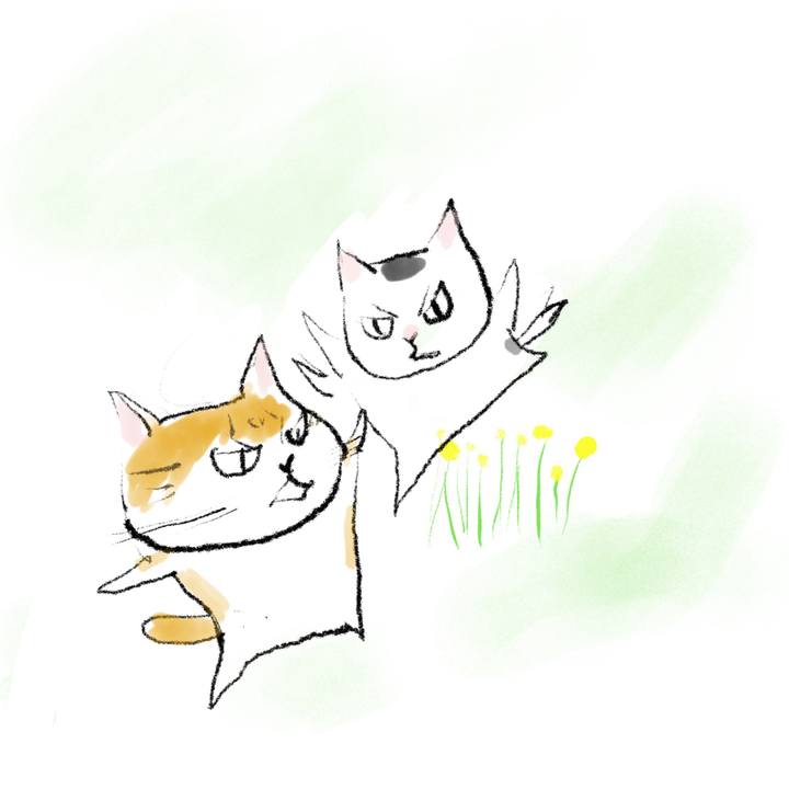 Aac58d01 1a6a 4c06 b979 fd65379f4057 1686831259726