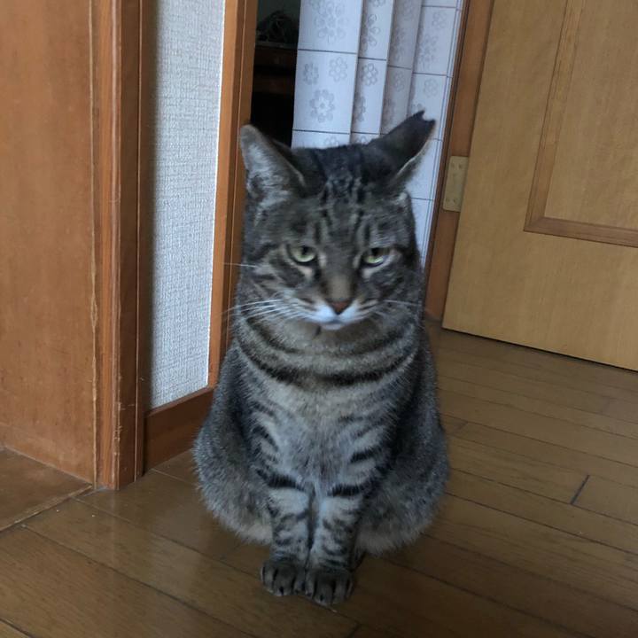 Aac61978 a94f 4320 b094 f44fcd5240fb 1602897594579