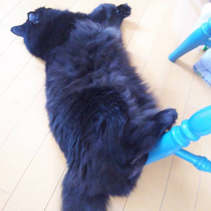 Aac64dda 988d 4d61 9eec f8fe70f701ad 1564460831391