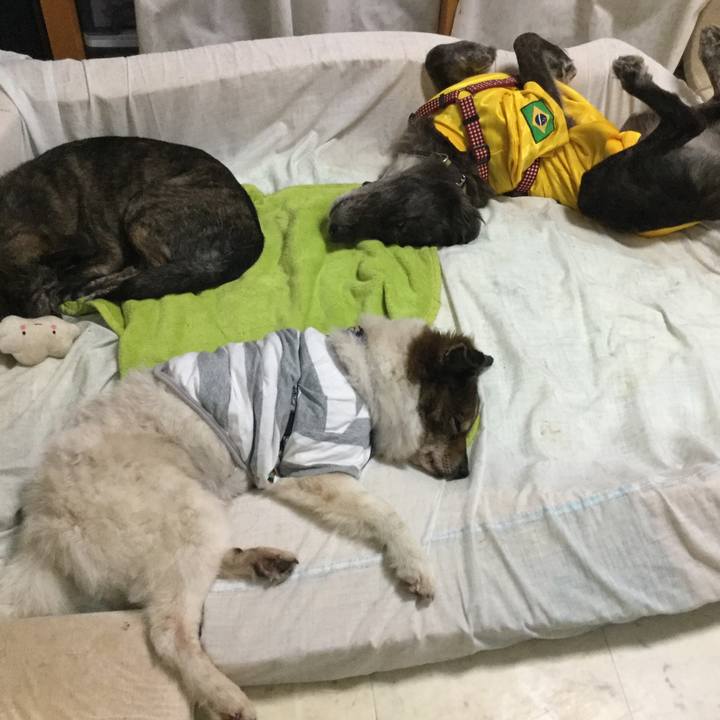 Aac6980e 65c3 4c86 854c f151361b9782 1607260749706