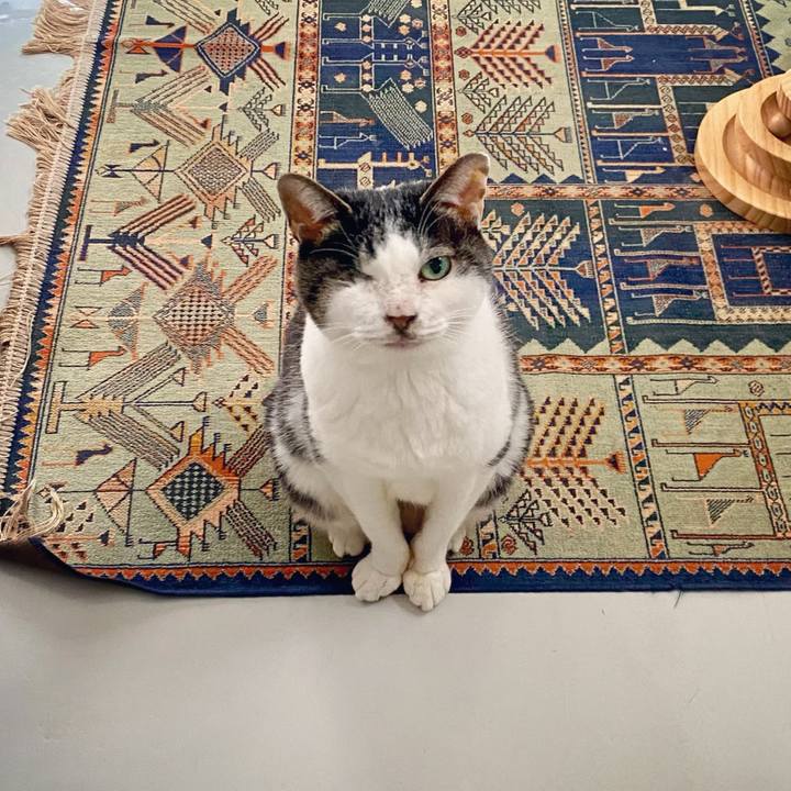 Aac6c61f 6fd5 45ec 8c7c 0435d4f74a44 1615617357832