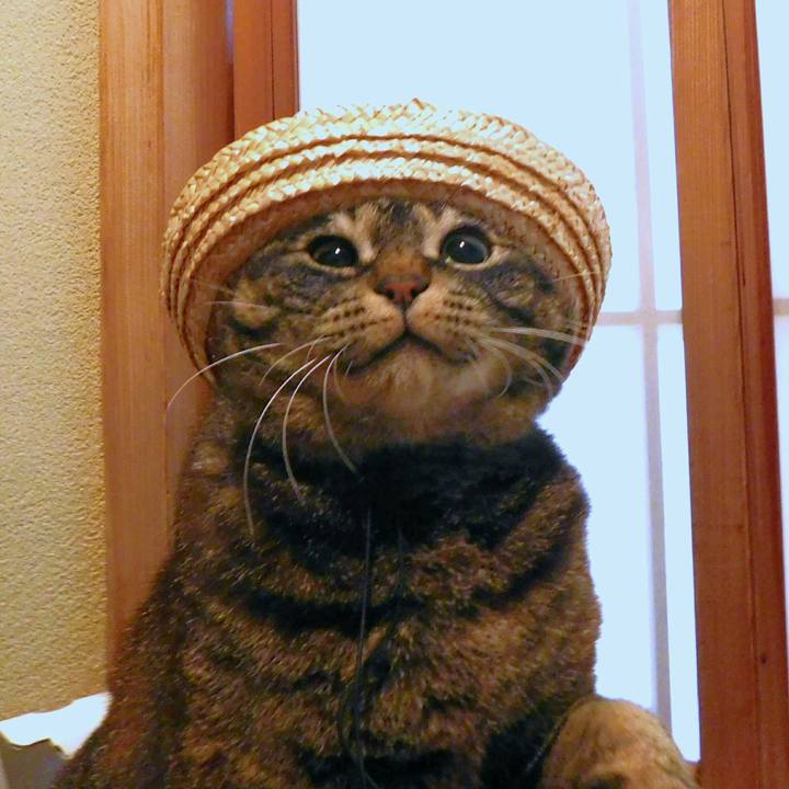 Aac6d42d e917 4c69 b000 ca5ca61c9fa8 1527443346177