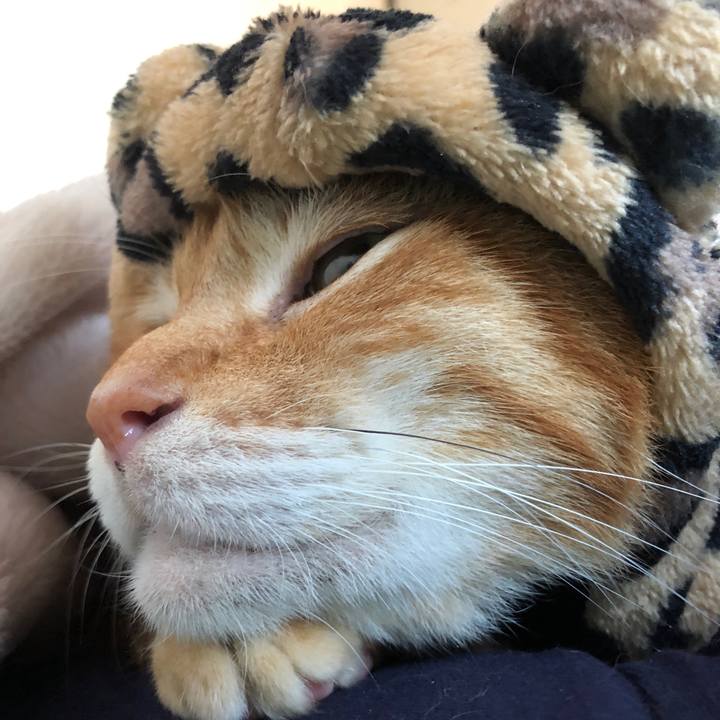 Aac6e764 d415 4b34 87f2 49f3ae2f1d8a 1662277043444