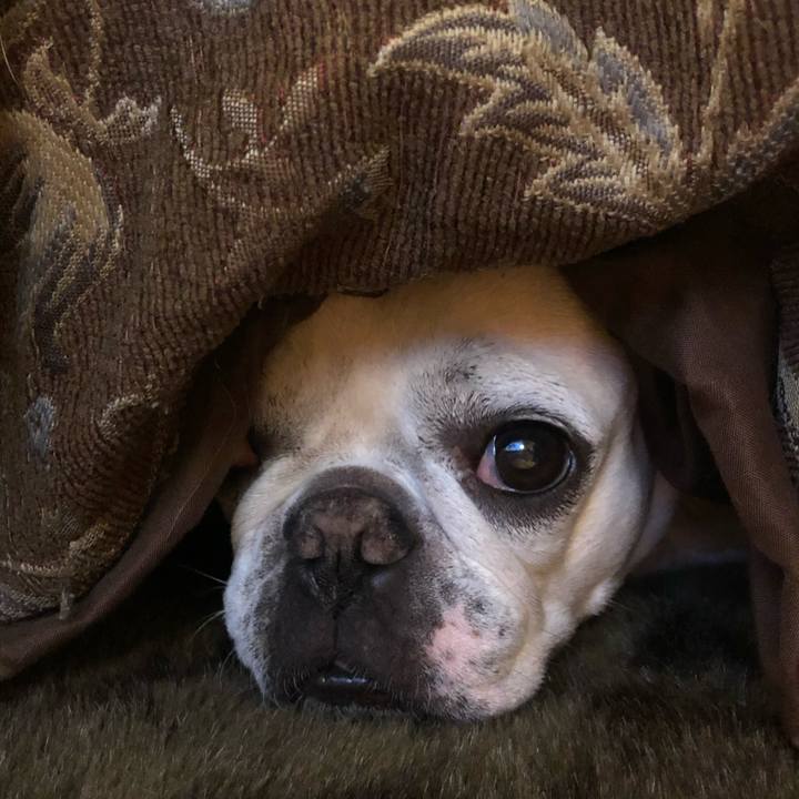 Aac703db 2355 497f a30a 825bbb2e0f0c 1578575427813