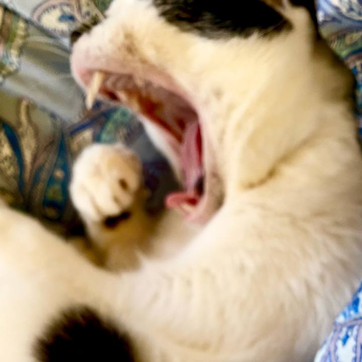 Aac708d5 c1c9 465e bbb4 d3352bf8095d 1666838221390