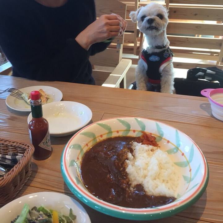 Aac7483e 6070 4dac 82cd c27a3e41d265 1511176593761