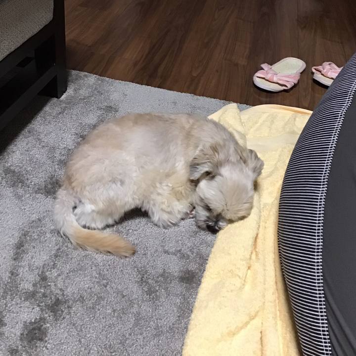 Aac757a5 2e39 48c4 8473 cb126024b97d 1539604365577