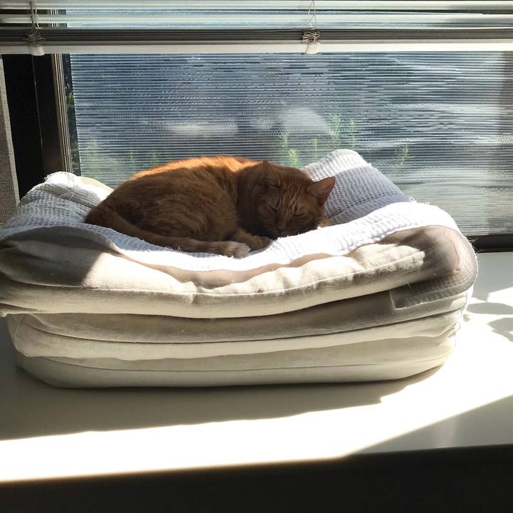 Aac768ab b8dc 4e97 8b14 2cbc3fcdbc0a 1631253541081