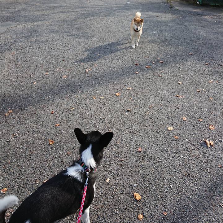 Aac77188 fe0c 4571 a1ca 08fc2330720b 1569626819214