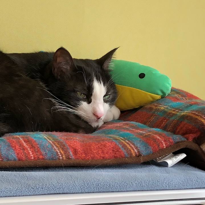 Aac7b00b ea47 4c1d 8427 d2f8cb1eb187 1518575225557