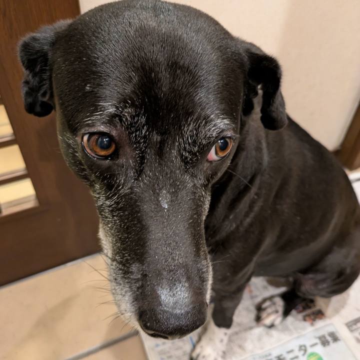 Aac7b3a6 13c7 4562 b785 936392f717cb 1744541198860