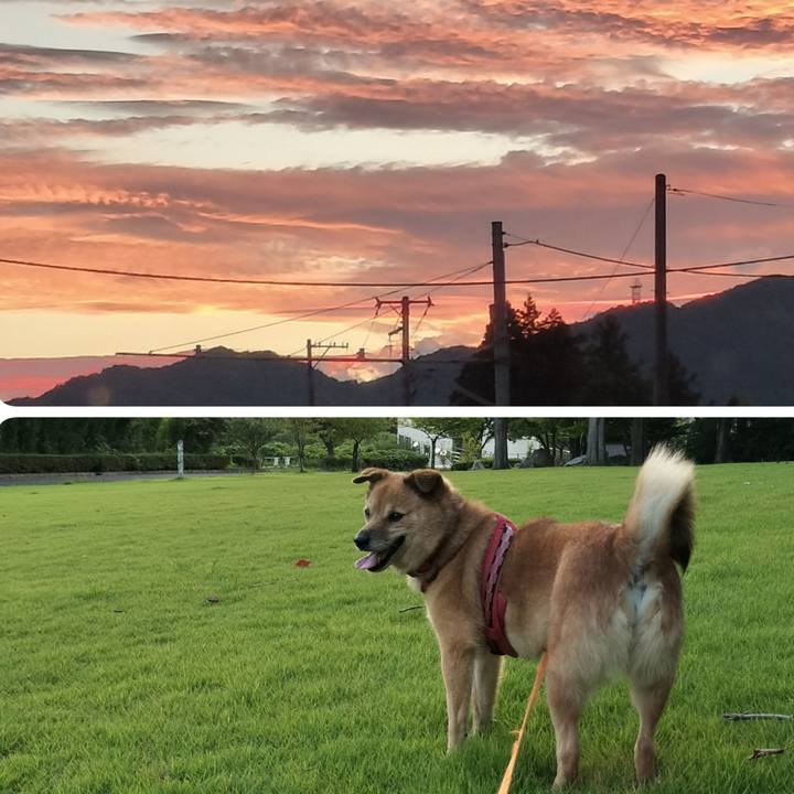 Aac85081 5d19 4adc b93e 043c5dbebc13 1756547875620