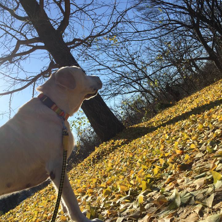 Aac86d9c 104a 4db5 a5d1 c242fe5ad7f5 1512264196888