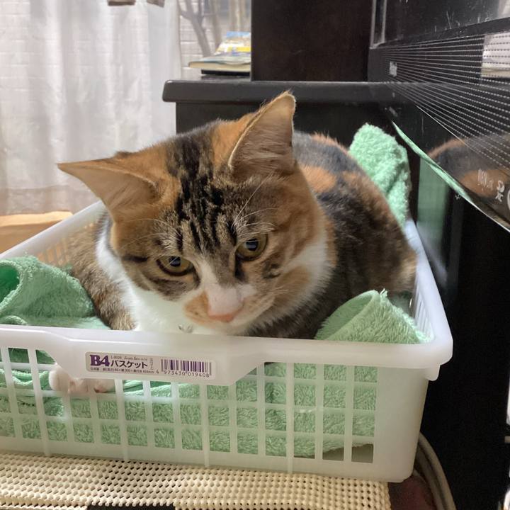 Aac88174 2edb 4b1c a417 5356fda204e3 1647906509062