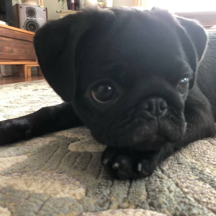 Aac8b1c1 32b2 4544 805a eab524a59f5e 1593903097438