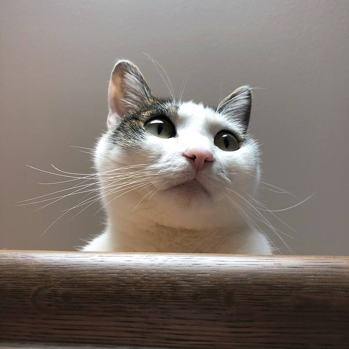 Aac8befa 87cd 4b2e 8048 9cbcecfcb0cf 1651788778201