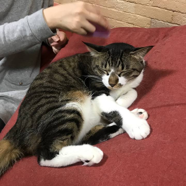 Aac8d509 d3f0 45d8 8dba a06f7c7be731 1514014294048