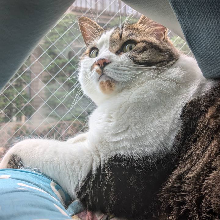 Aac8f113 a456 4ab0 a64a 76749a1761ea 1719034982012