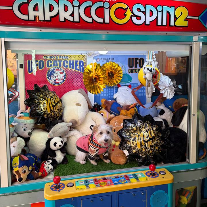 Aac90777 95c7 4212 98f6 341ca5653edd 1767509632112