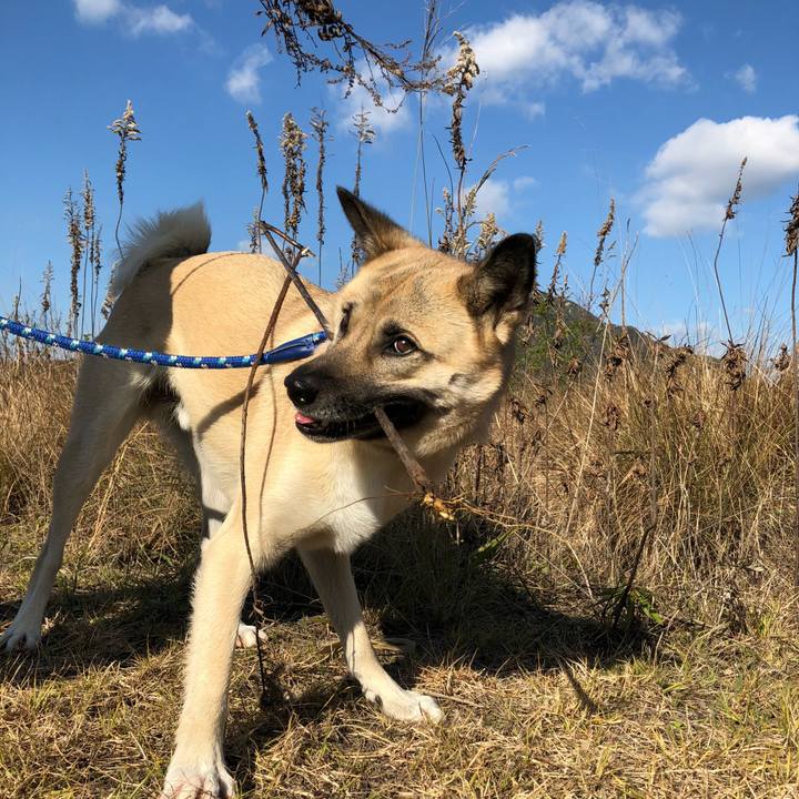 Aac9094f e170 4e88 bdb0 7a5602165105 1546488752270