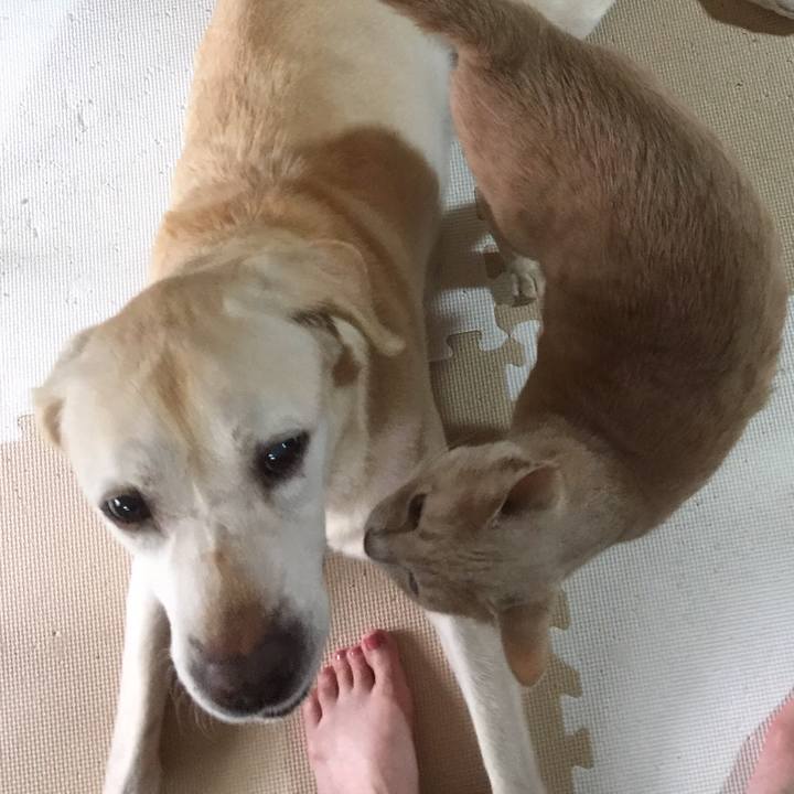 Aac911e9 8997 43f7 91e8 f0d269ddc0fe 1592741419470