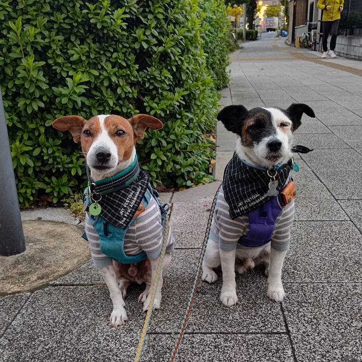 Aac92d05 fe79 49e9 a523 205996470c1d 1700691914307