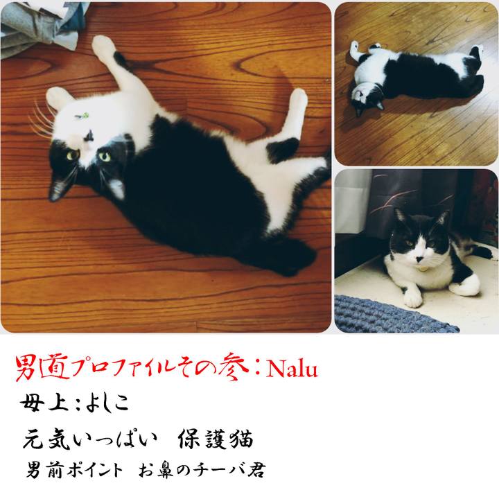 Aac960e4 f9dc 49a4 a6f5 ed50fa51cdfb 1566133531078