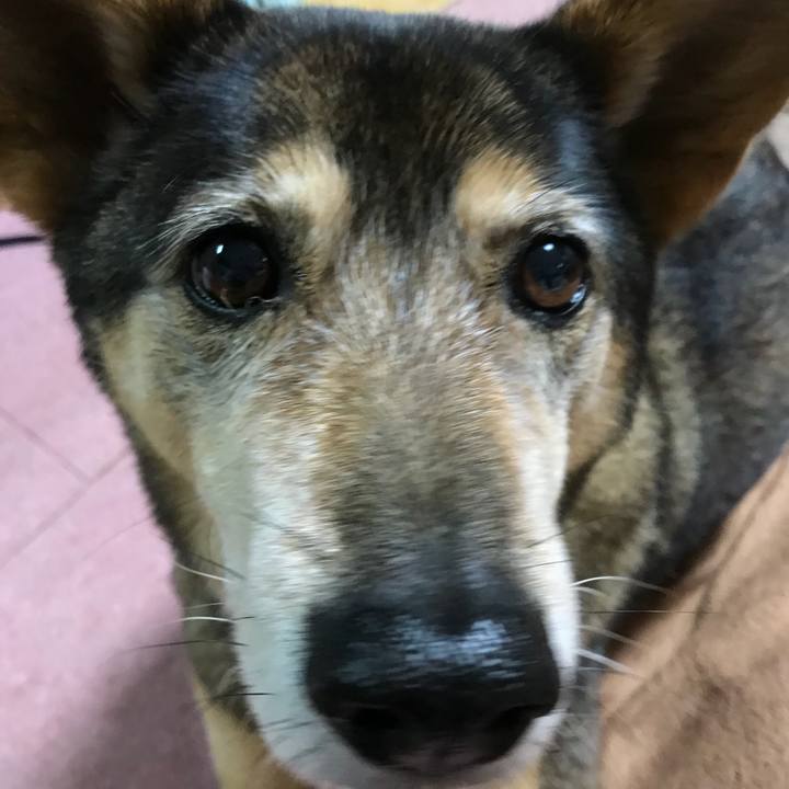 Aac98b64 04b7 48aa b23a fde51a4fbf0a 1514280612578