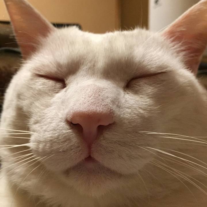 Aaca127c c53e 4288 8201 607e1eecc74b 1523191509775