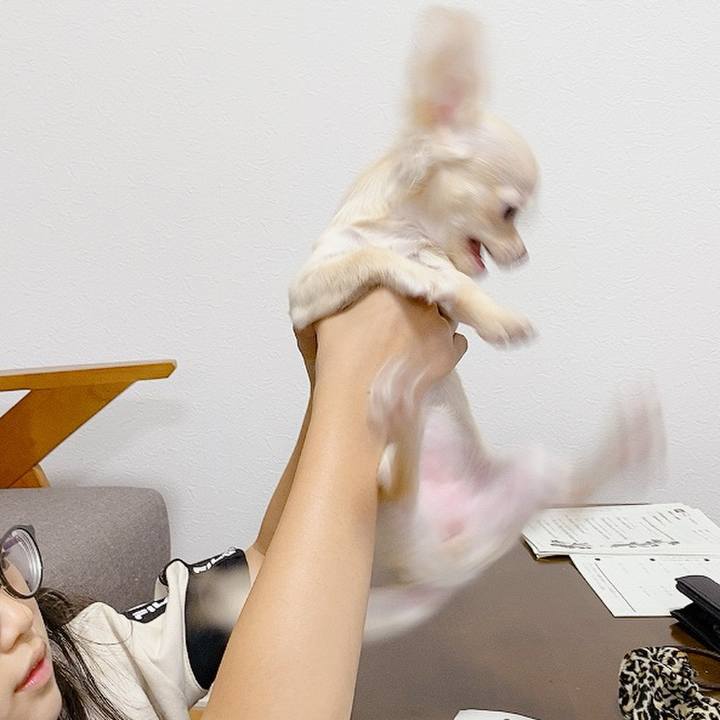 Aaca4af7 b3b8 4832 9f53 06414ce55275 1594425018819