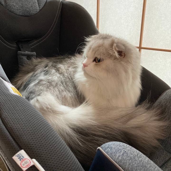 Aaca502c f194 4ef9 81f1 49c40ab780ed 1651708141381