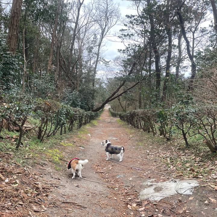 Aaca5d7f b53f 45ad 86a9 3026b0ff01fe 1709076093050