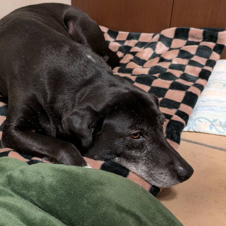 Aaca6e41 9cb3 4ddf a5af 7e1159d20efd 1742295065278