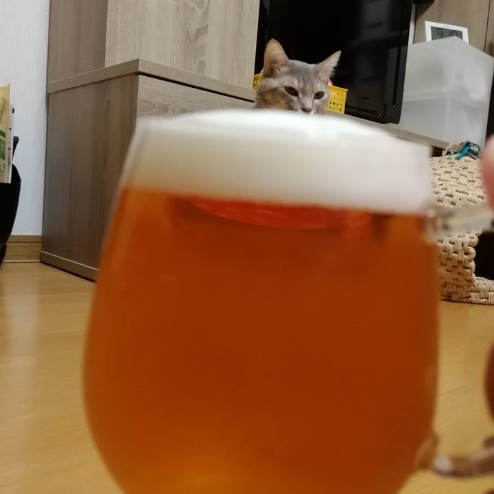 Aaca80d3 f833 48ea a9cc b6bdded1b144 1550927694086