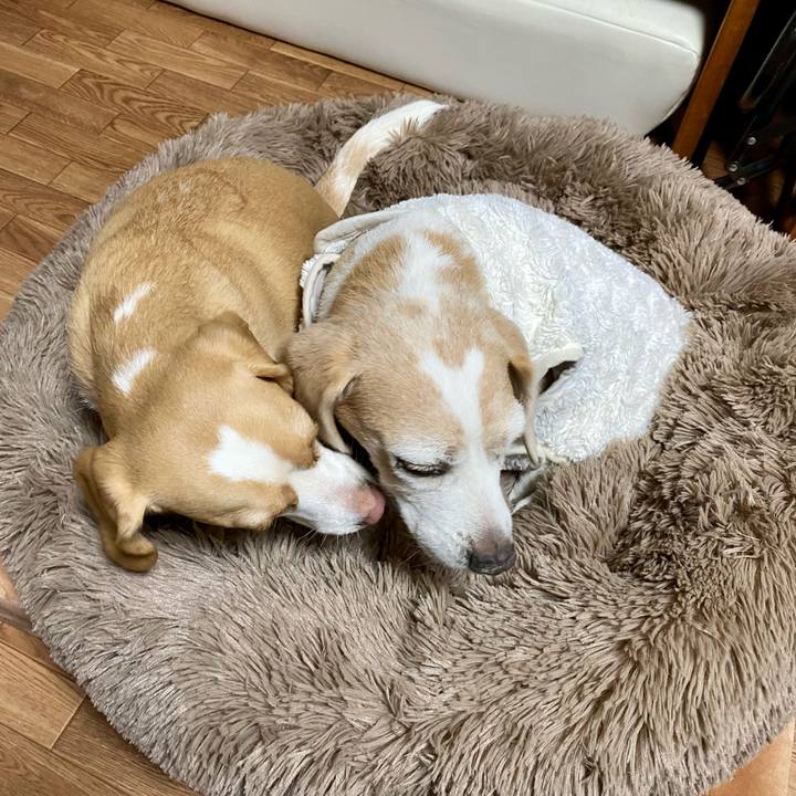 Aaca93a7 b4c1 416a b638 82b6a92ca01b 1611804031934