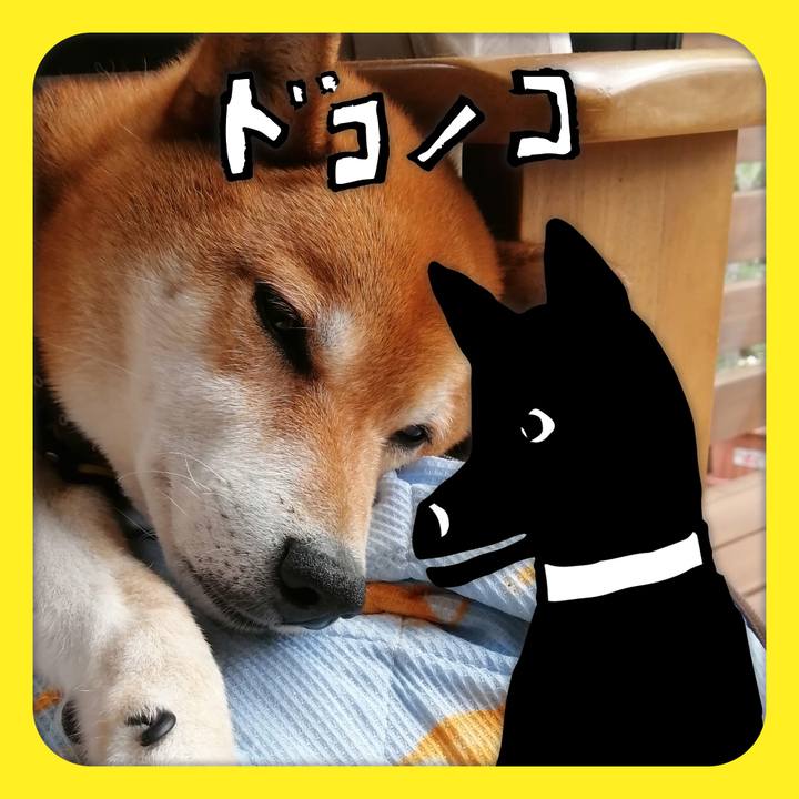 Aaca953a 046b 48a2 bd53 5b09389e0fd4 1623638149043