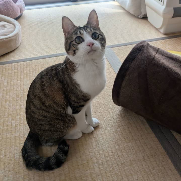 Aacacca8 0463 48c8 813a 7311e832c04a 1769608390899